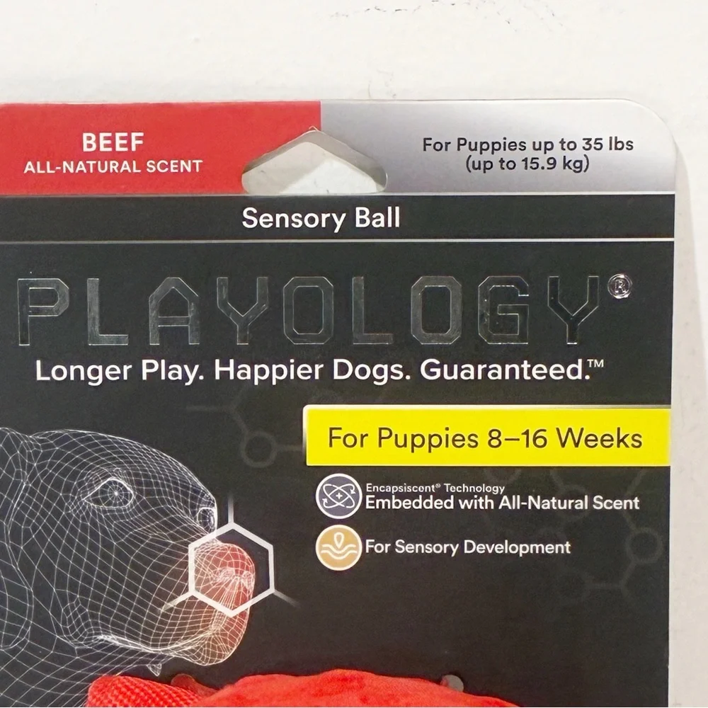 Playology Ball for Sensory Development Red All Natural Beef‎ Scent Dog Puppy Toy